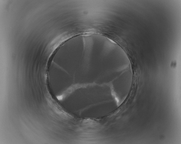 X0000114180290200911051556