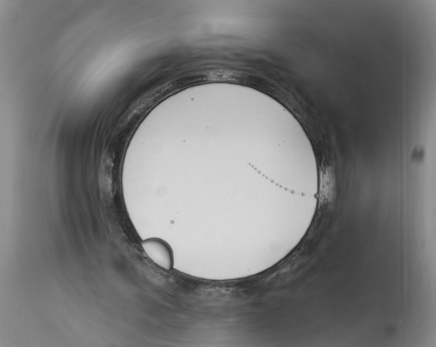 X0000114180291200911051556