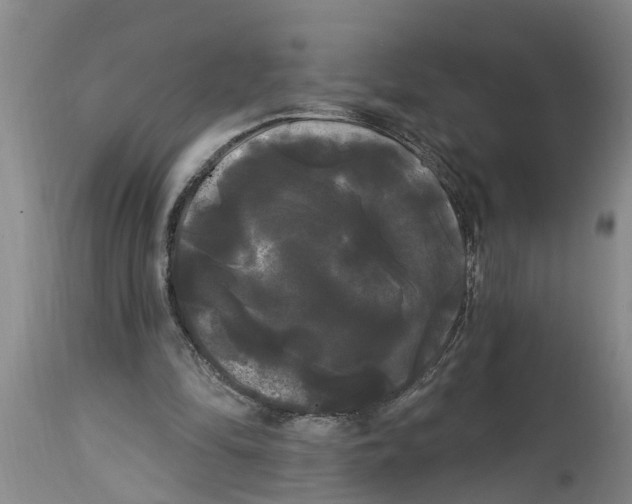 X0000114180294200911051556