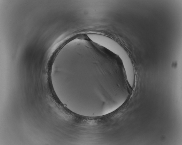 X0000114180295200911051556