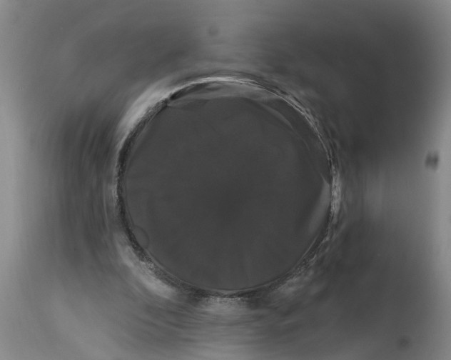 X0000114180296200911051556