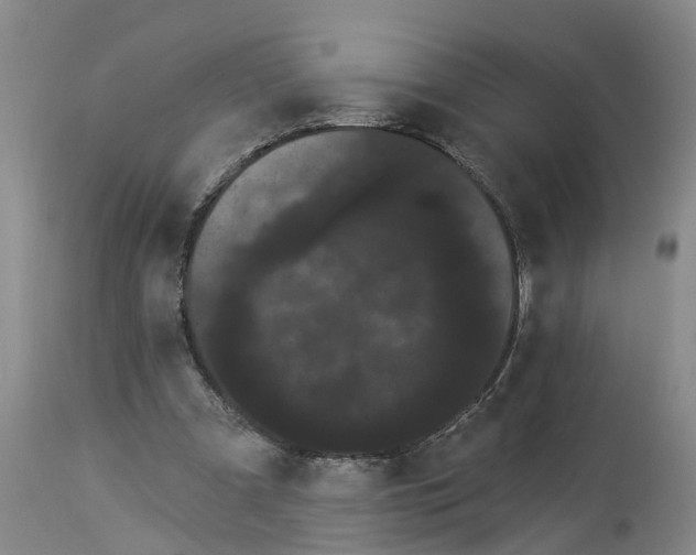 X0000114180297200911051556