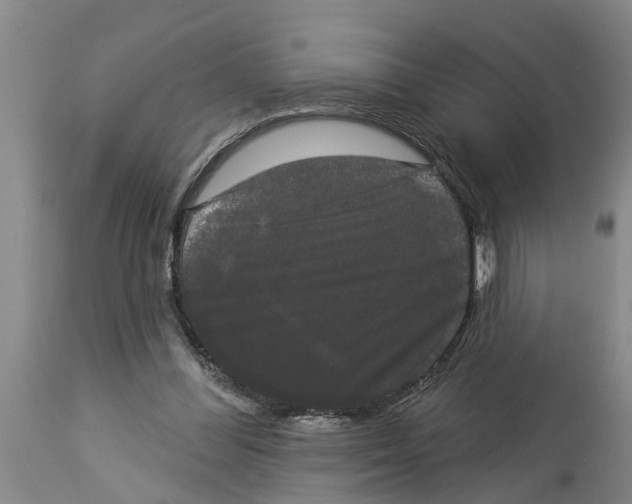 X0000114180300200911051556