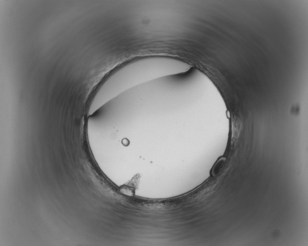 X0000114180301200911051556