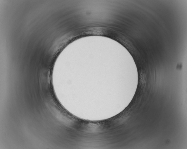 X0000114180302200911051556