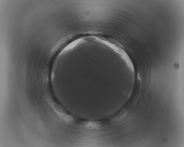 X0000114180303200911051556