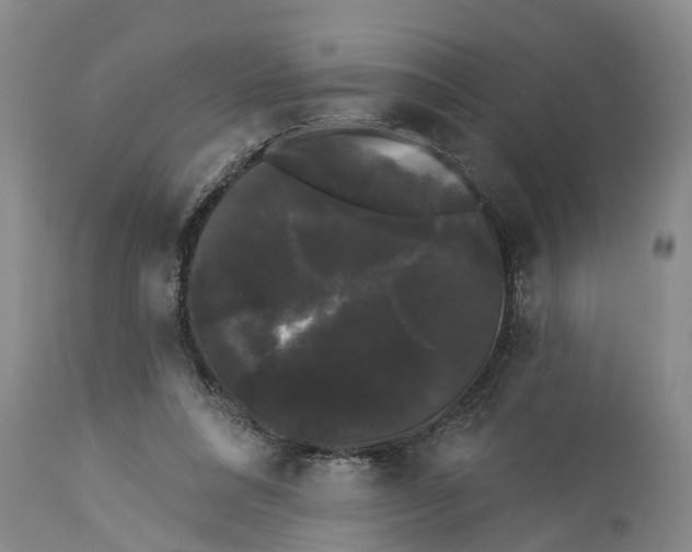 X0000114180304200911051556