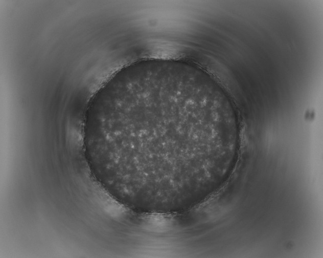 X0000114180305200911051556