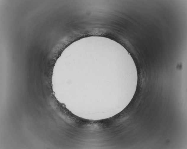 X0000114180307200911051556