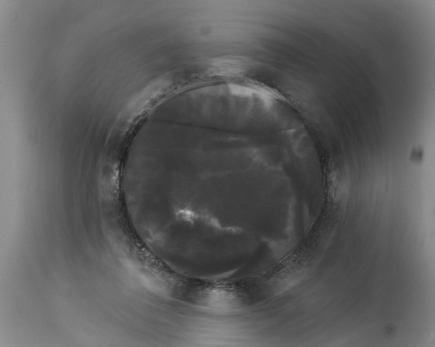 X0000114180308200911051556