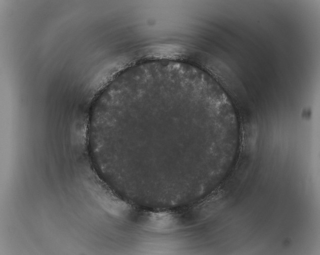 X0000114180309200911051556