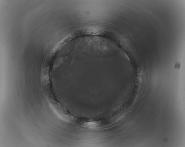 X0000114180312200911051556