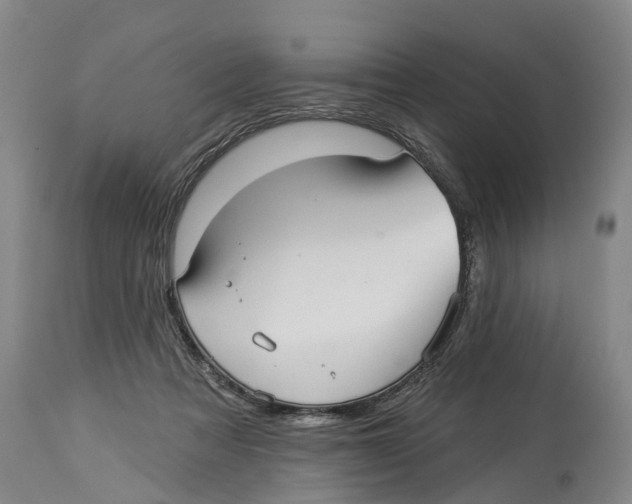 X0000114180313200911051556