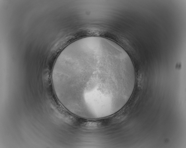 X0000114180314200911051556