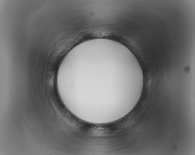 X0000114180315200911051556