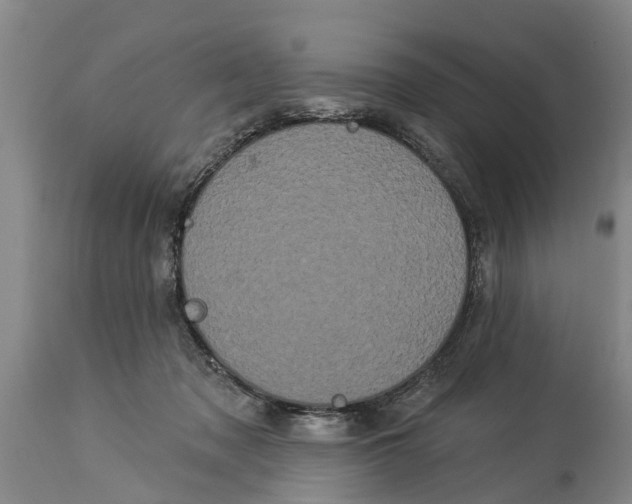 X0000114180317200911051556