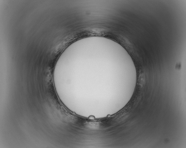 X0000114180318200911051556