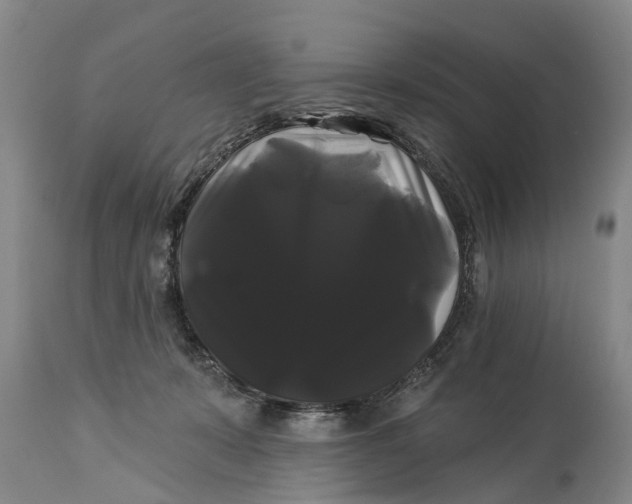 X0000114180319200911051556