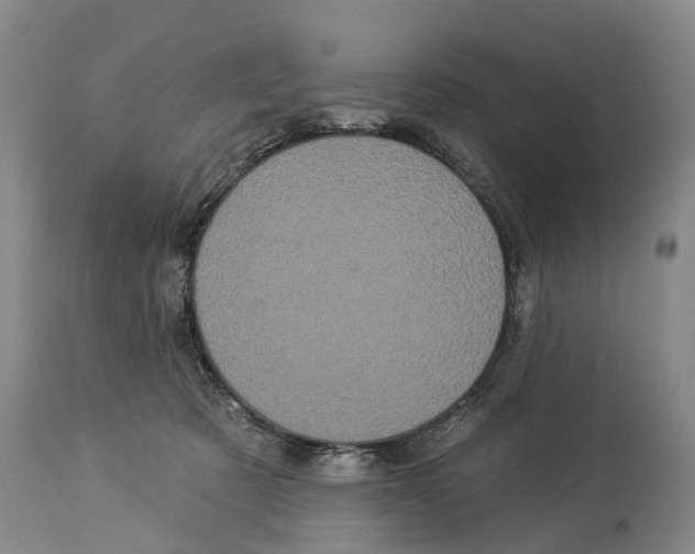 X0000114180321200911051556