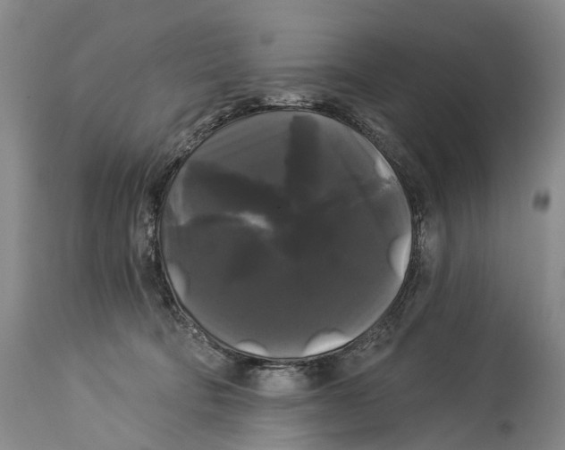 X0000114180322200911051556