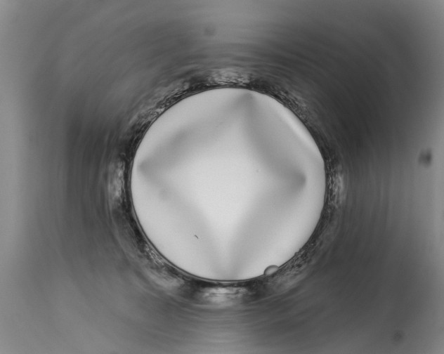 X0000114180323200911051556