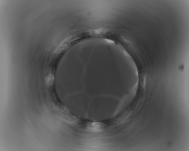 X0000114180324200911051556