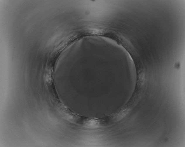 X0000114180325200911051556