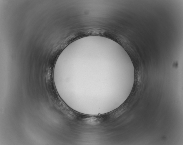 X0000114180326200911051556