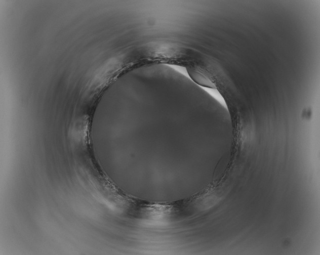 X0000114180328200911051556