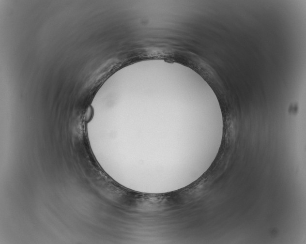 X0000114180329200911051556