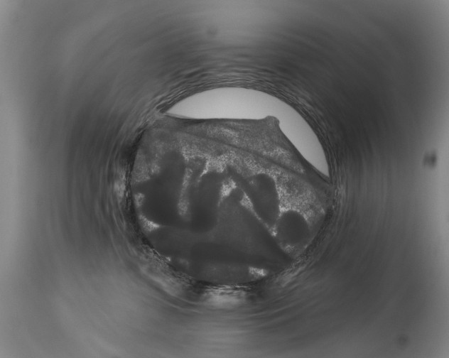 X0000114180331200911051556