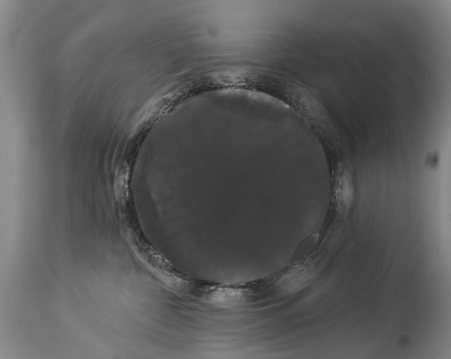 X0000114180332200911051556