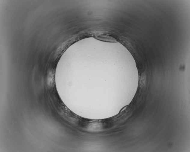 X0000114180335200911051556