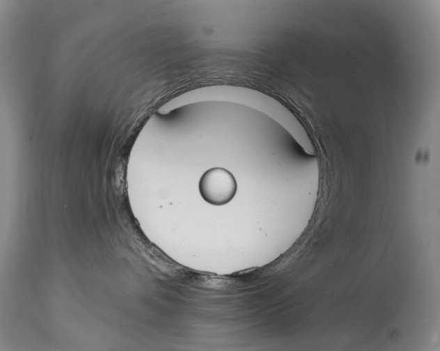 X0000114180336200911051556