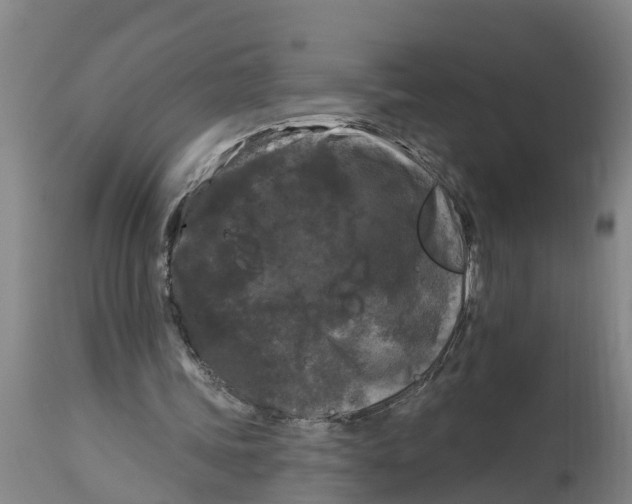 X0000114180339200911051555