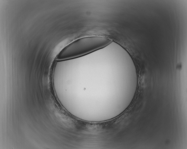 X0000114180340200911051555