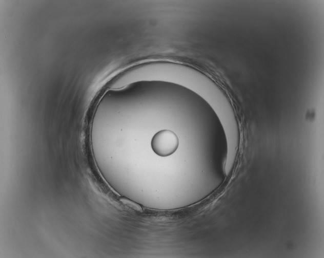 X0000114180344200911051555