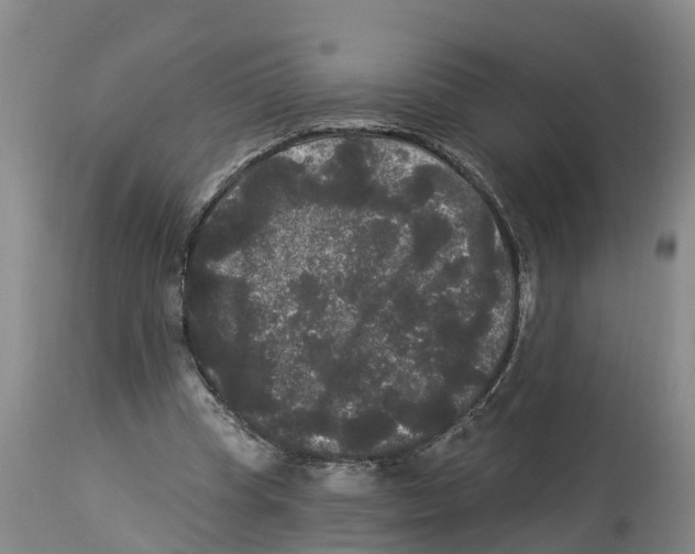 X0000114180345200911051555