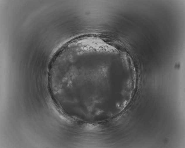 X0000114180346200911051555