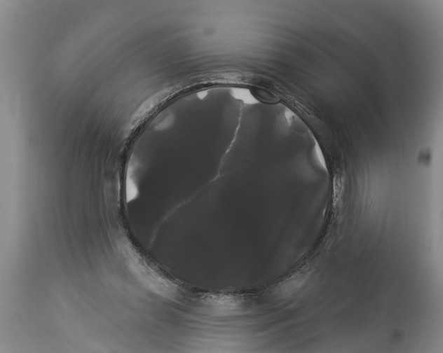 X0000114180349200911051555