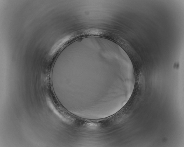 X0000114180352200911051555