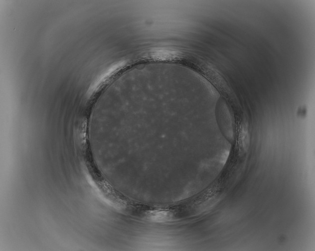 X0000114180356200911051555