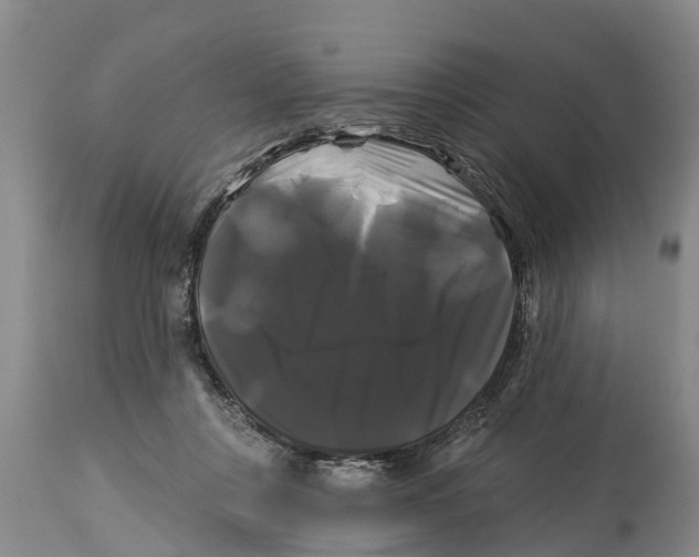 X0000114180359200911051555