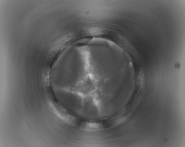 X0000114180360200911051556