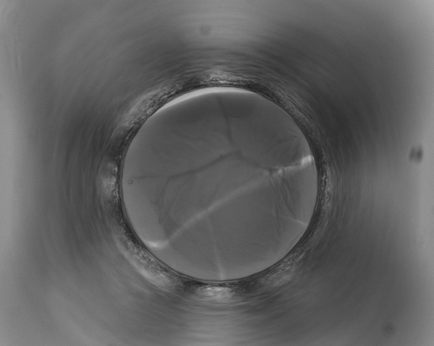 X0000114180361200911051556