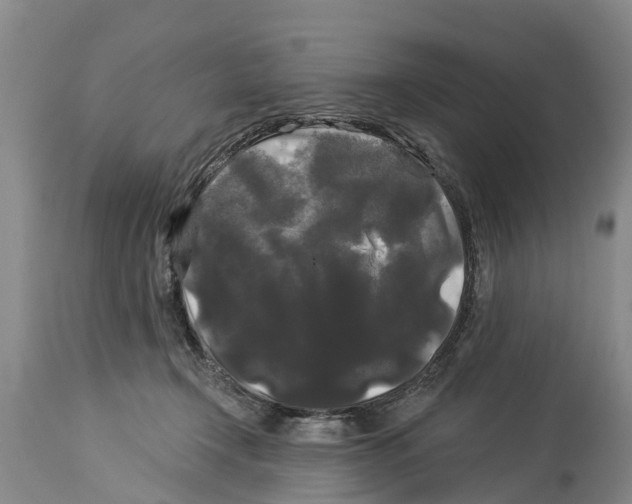 X0000114180366200911051556