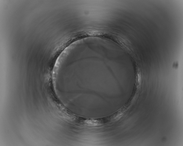 X0000114180367200911051556