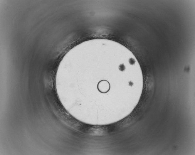 X0000114180370200911051556