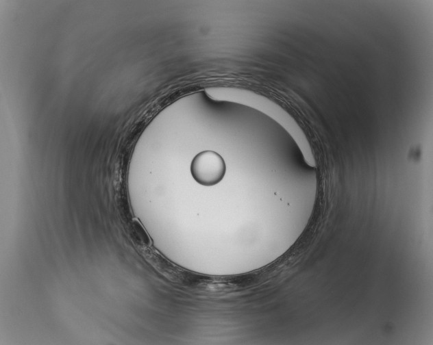 X0000114180372200911051556