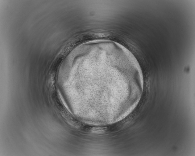 X0000114180373200911051556